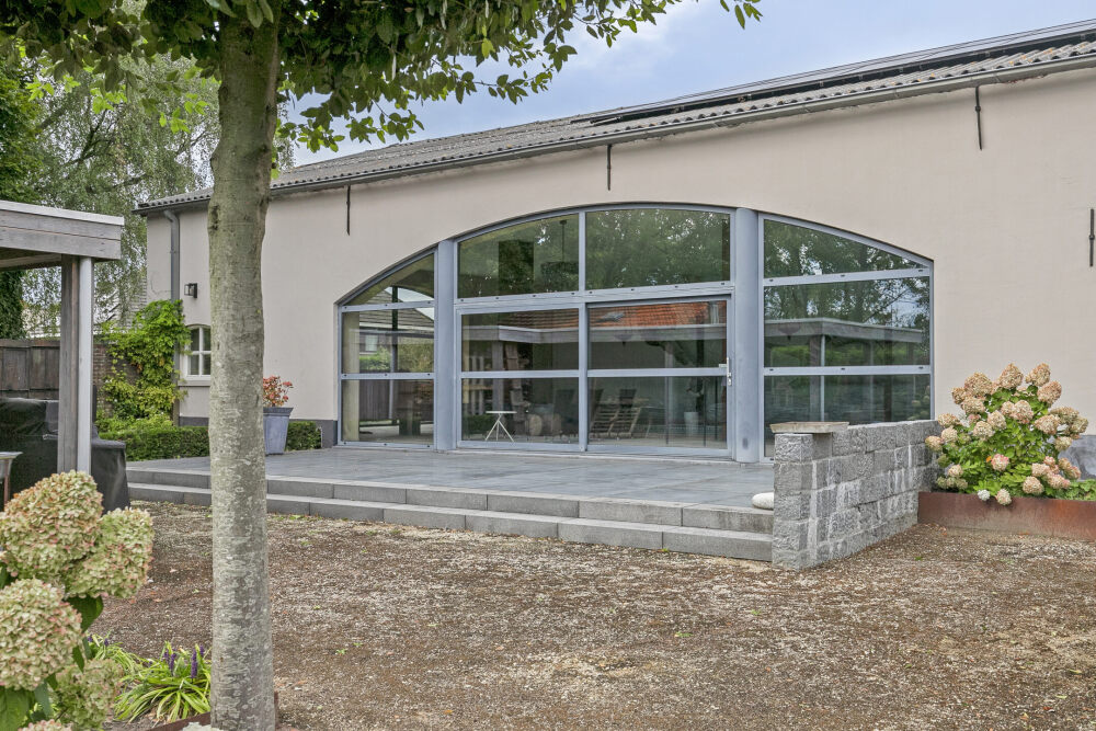 Foto 65 1000w