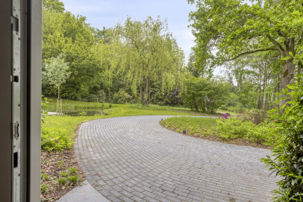 Foto 63 1000w
