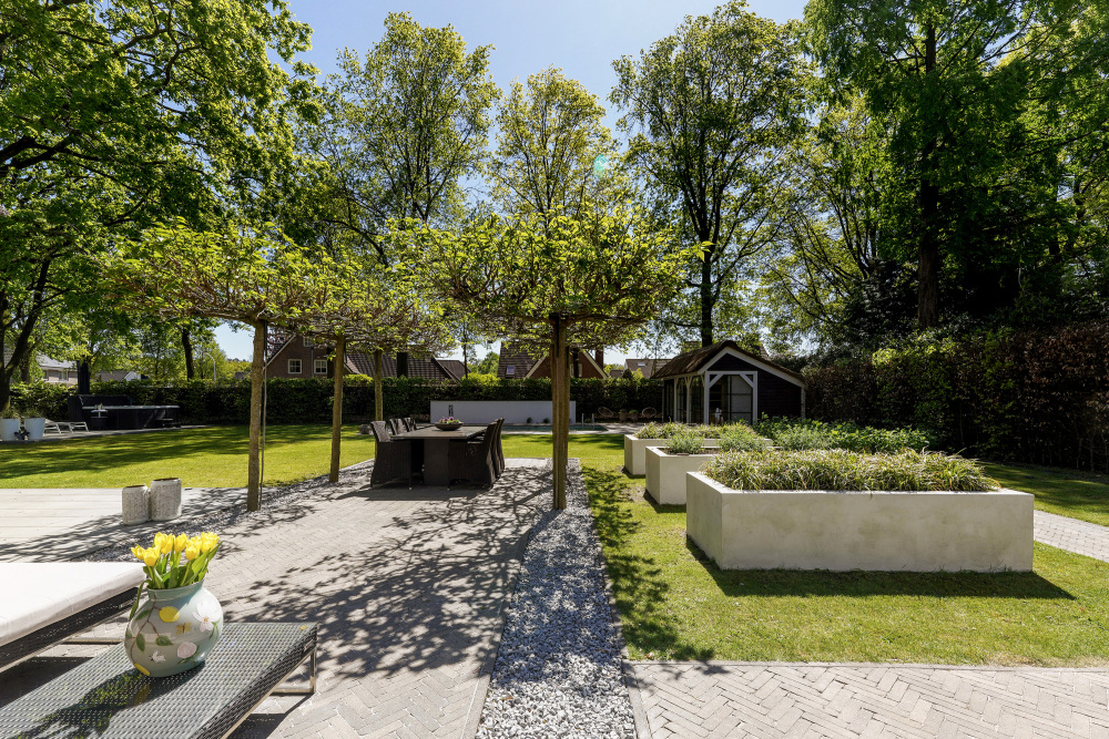 Foto 51 1000w
