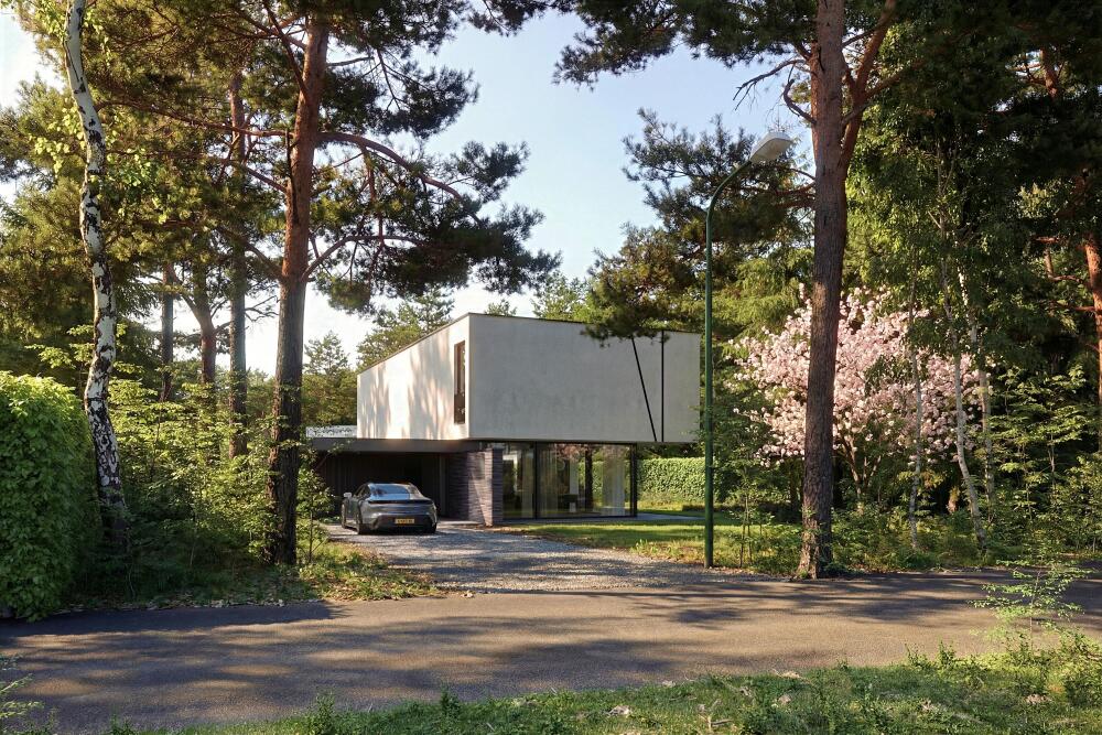 Foto 3 1000w