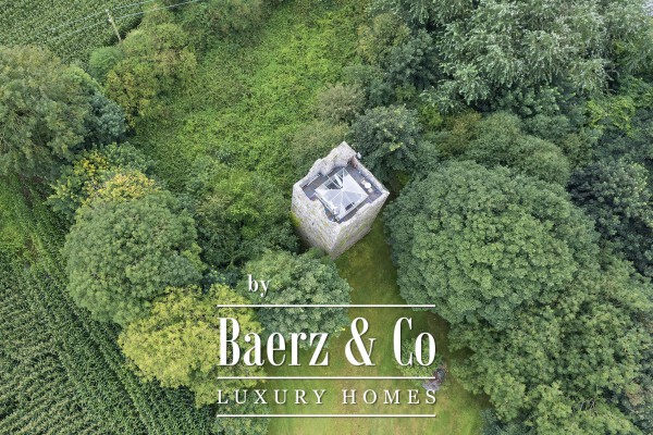 photo 4 Ballintotis Castle