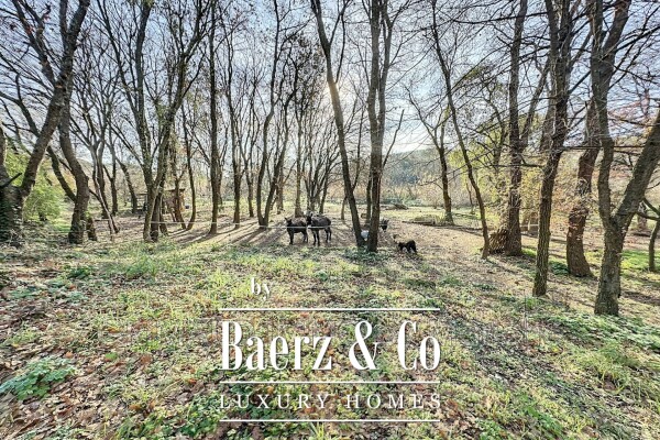 photo 3 Rare opportunity for a bed and breakfast: 7 rooms just steps