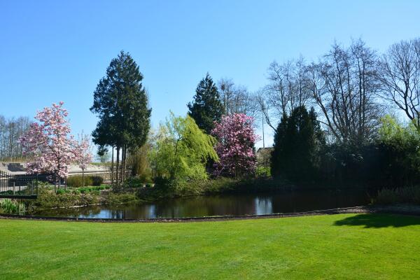 photo 62 Lange Meentweg 4