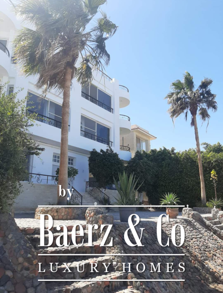 photo 7 #1131 Business opportunity Sea side