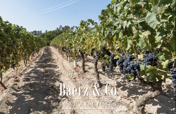 photo 11 Manor house in the Dão wine region