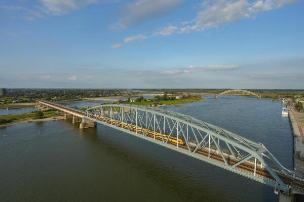 photo 47 Kaapstander 278