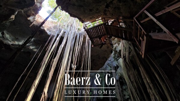 photo 3 18th Century Hacienda with Cenote and 403 acres!