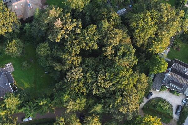 photo 2 Wikkelaan 0 ong