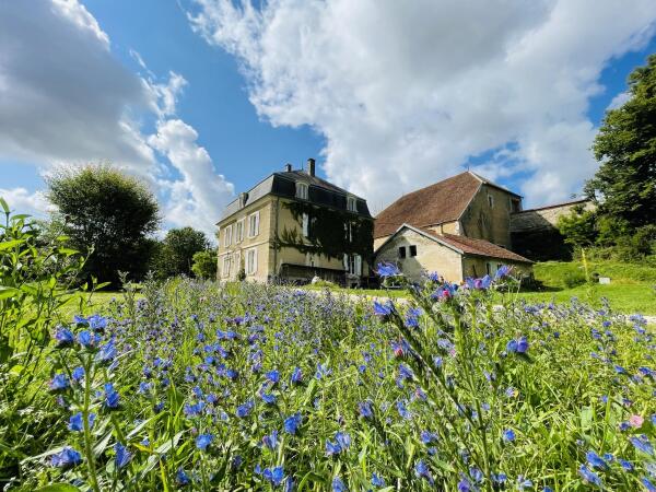 photo 4 Chateau de Faverolles 