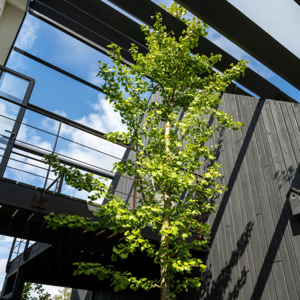 photo 25 Groene Hof 3