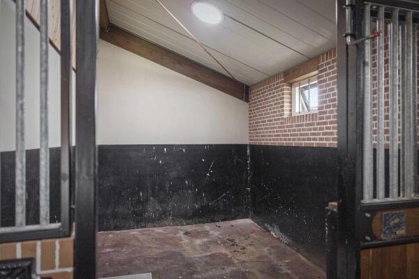 photo 95 Dennendijk 6