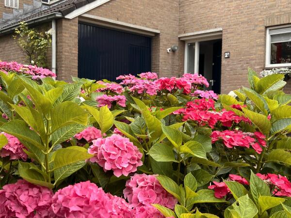photo 7 Lijsterlaan 2 b
