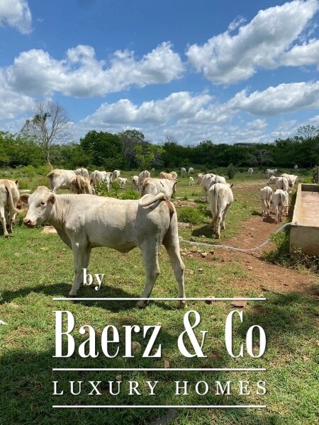 photo 7 Street 24 x 29 