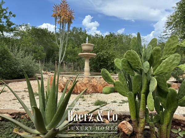 photo 19 A Private Yucatán Estate — A Life of Privacy, Nature and Independence
