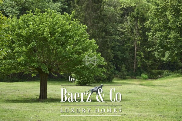 photo 15 Fayence canton, old oil mill from the 14th century