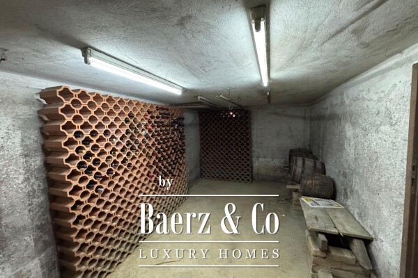 photo 27 Slavonski Brod, Grabarje – Residential-commercial building in a peaceful location