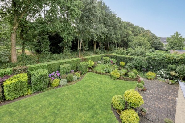 photo 53 Bilzekruid 11