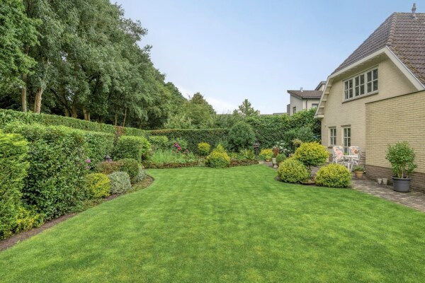 photo 6 Bilzekruid 11