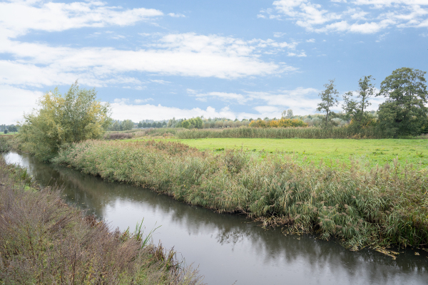 photo 67 Chris Schutweg 14