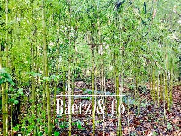 photo 18 Building for restoration - Centre of Porto