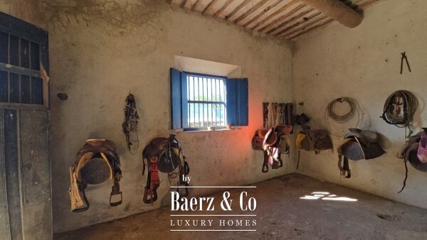 photo 35 Tablaje 3710 Rancho San Roman y Tablaje 1939 Rancho San Jose 