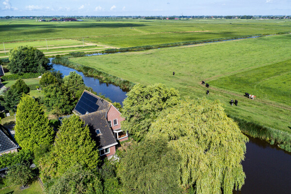 photo 2 Adam en Atze strjitte 8