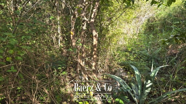 photo 41 Sagrado - Valladolid 