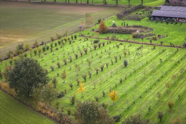 photo 72 Hardermaat 12