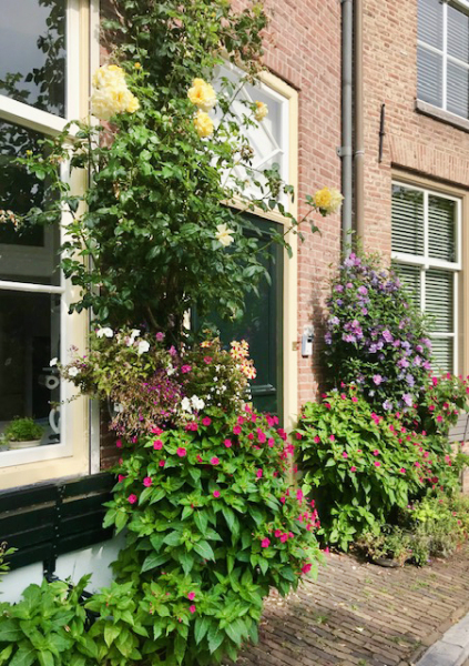 photo 43 Brede Haven 38