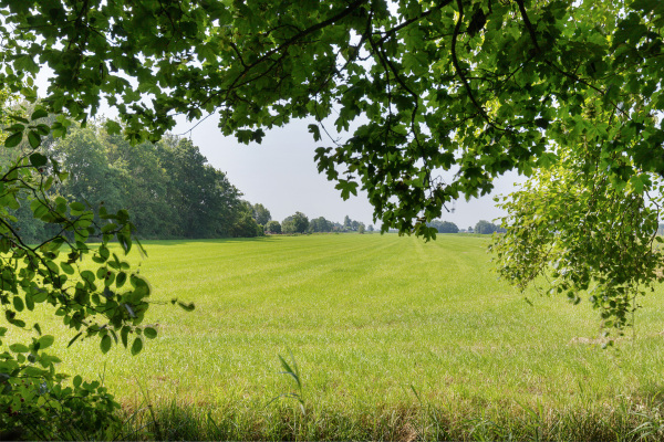 photo 46 Klijnsmavaart 8