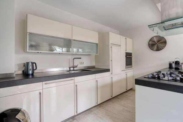 photo 21 Zilvermos 2