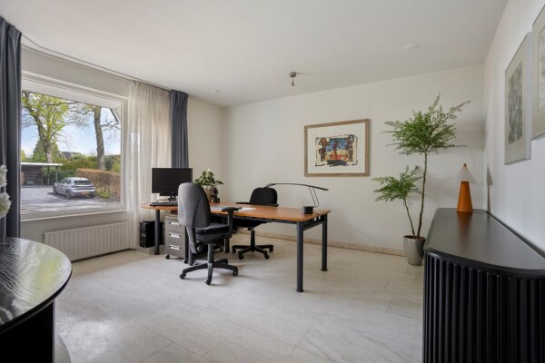 photo 27 Zilvermos 2