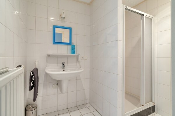 photo 54 Zilvermos 2