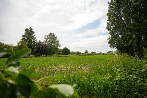 photo 62 Dorpsstraat 18