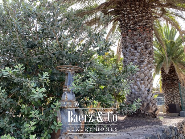 photo 47 Magnificent estate featuring family home and an organic banana plantation