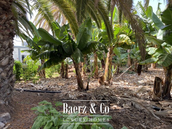 photo 45 Magnificent estate featuring family home and an organic banana plantation
