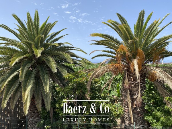 photo 42 Magnificent estate featuring family home and an organic banana plantation