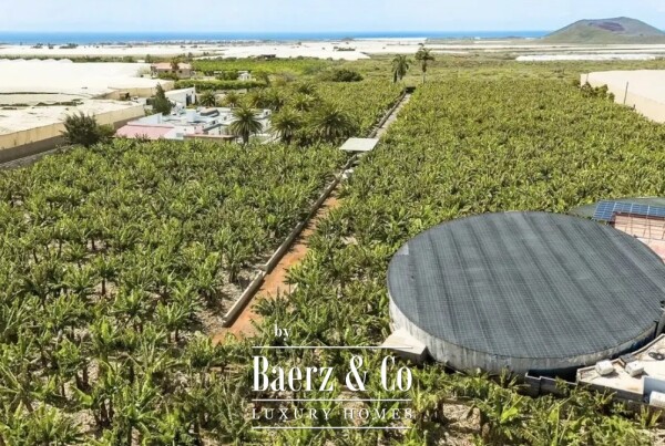 photo 5 Magnificent estate featuring family home and an organic banana plantation