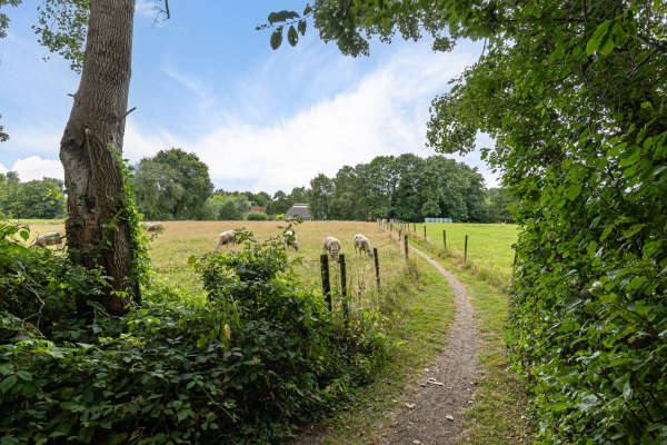 photo 68 Oosterbrink 5